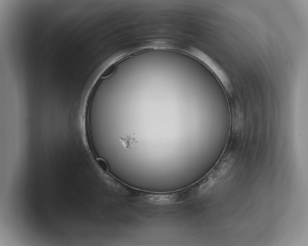 X0000102390861200808081226