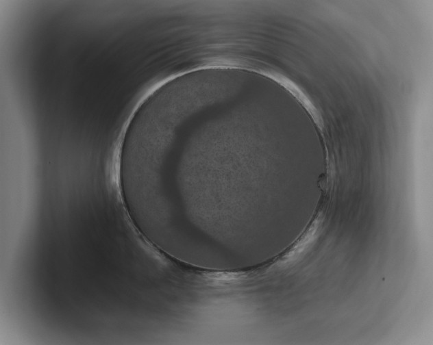 X0000102390862200808081226