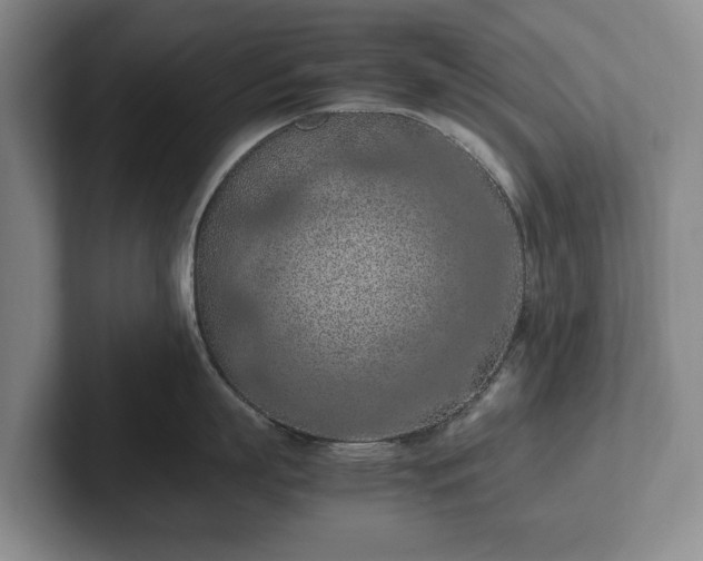 X0000102390863200808081226