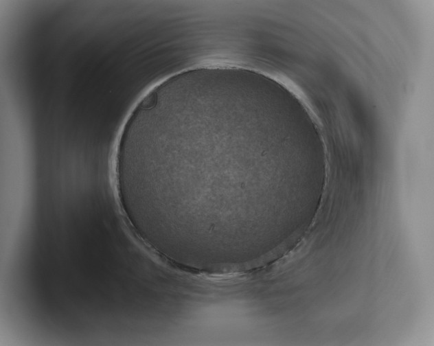 X0000102390864200808081226