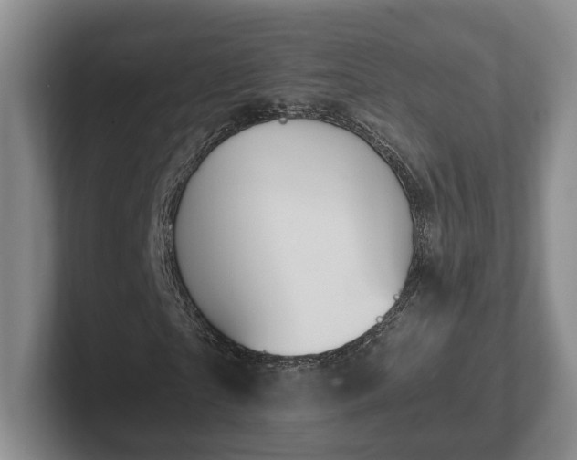 X0000102390865200808081225