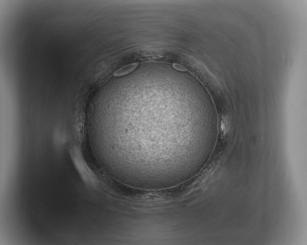 X0000102390867200808081225