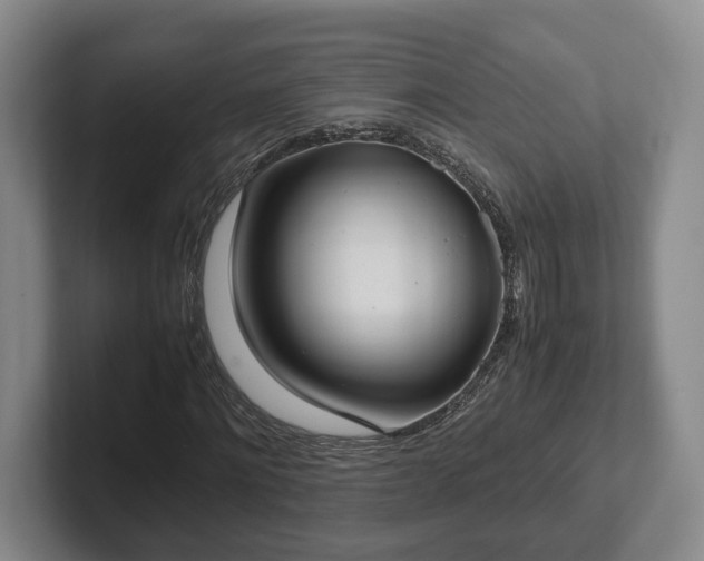 X0000102390868200808081225