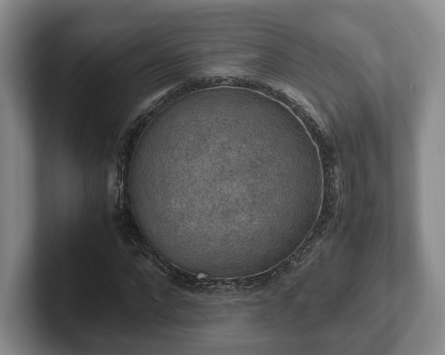 X0000102390872200808081225