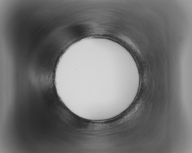 X0000102390873200808081225