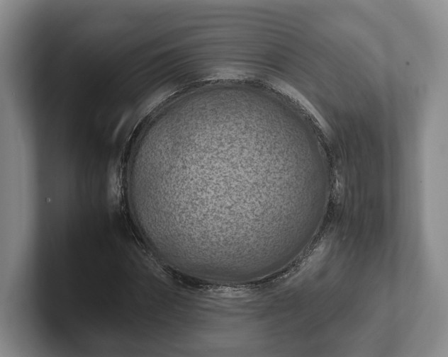 X0000102390874200808081225