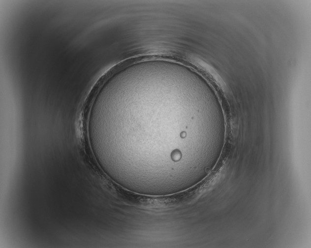 X0000102390875200808081225