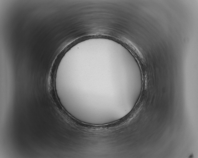 X0000102390876200808081225