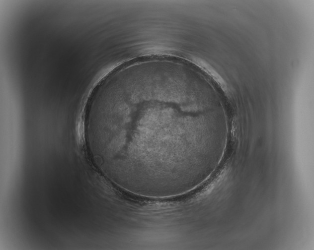 X0000102390877200808081225