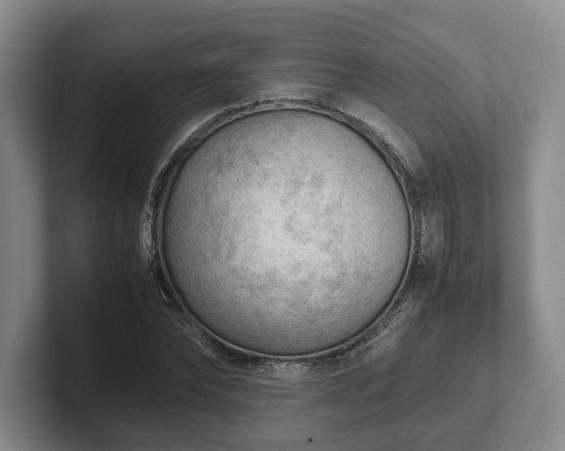 X0000102390878200808081225