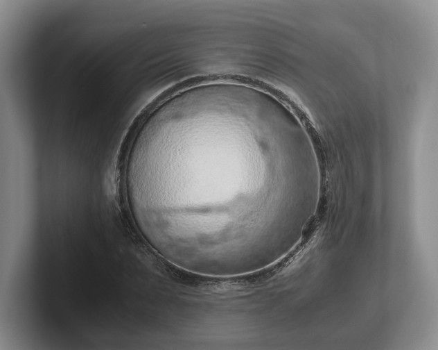 X0000102390879200808081225