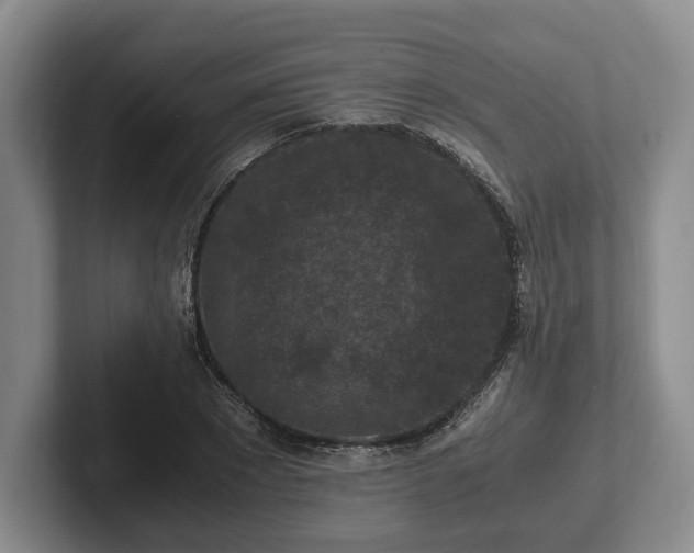 X0000102390881200808081225