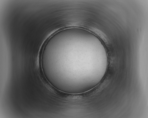 X0000102390884200808081225