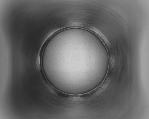 X0000102390886200808081225