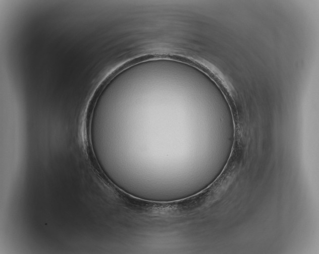 X0000102390887200808081225