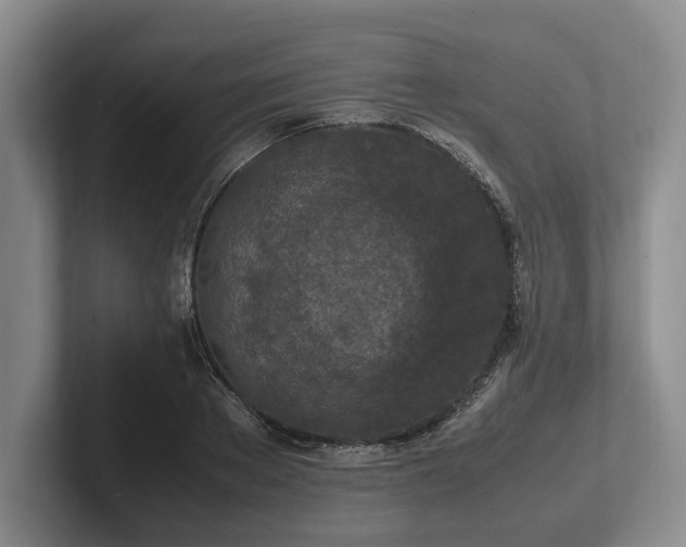 X0000102390889200808081225