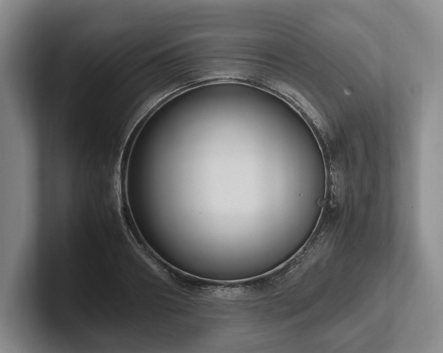 X0000102390890200808081225