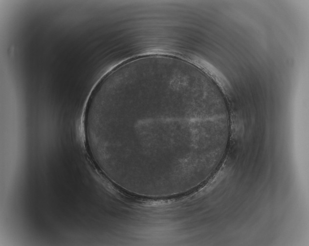 X0000102390892200808081225