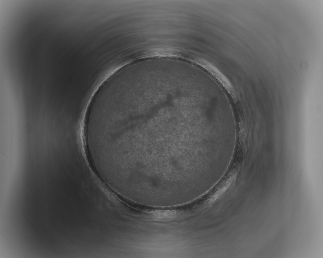 X0000102390893200808081225