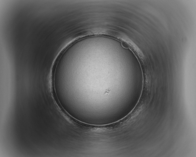 X0000102390894200808081225