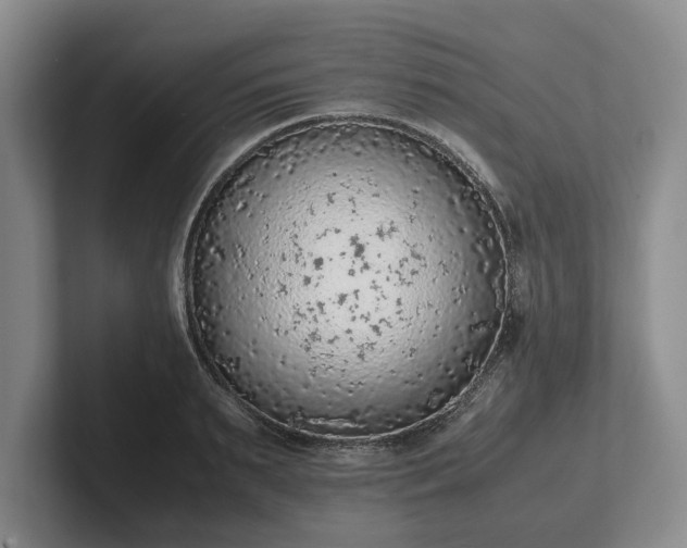 X0000102390895200808081225