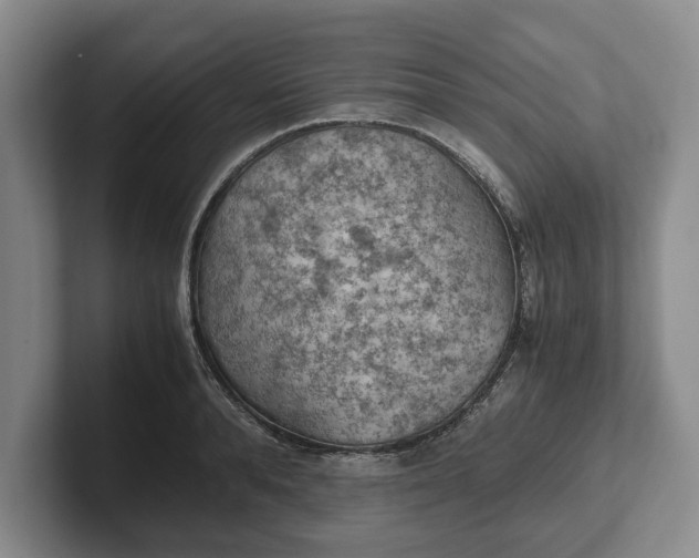 X0000102390896200808081225