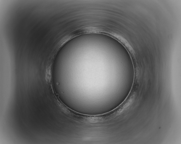 X0000102390897200808081225