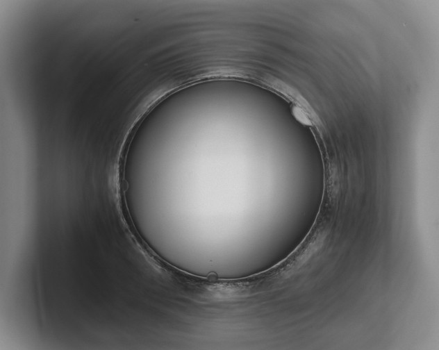 X0000102390898200808081225