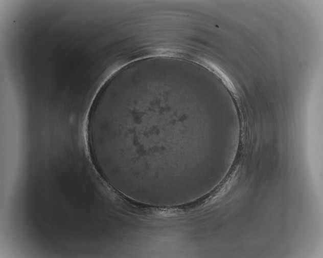 X0000102390899200808081225