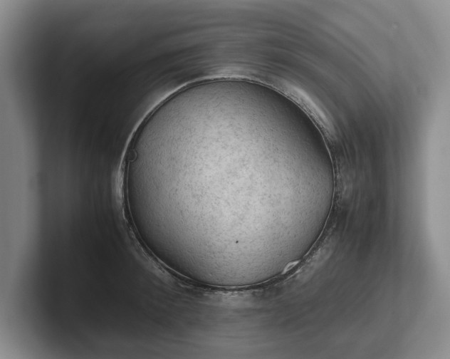 X0000102390900200808081225