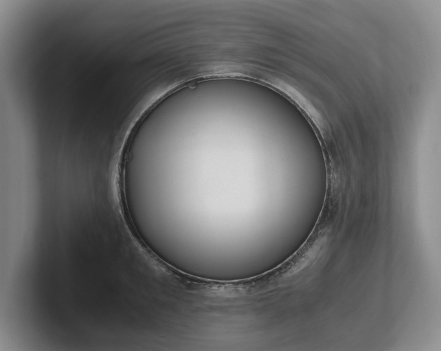 X0000102390901200808081225