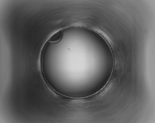 X0000102390902200808081225