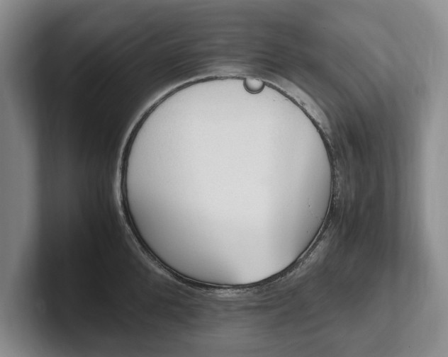 X0000102390904200808081225