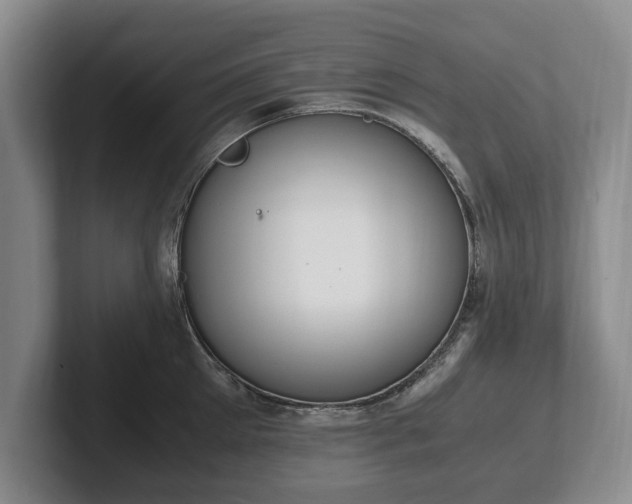 X0000102390905200808081225