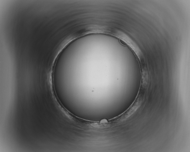 X0000102390906200808081225