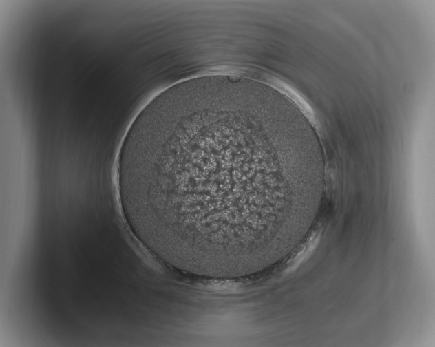 X0000102390907200808081225