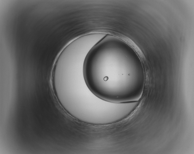 X0000102390908200808081225