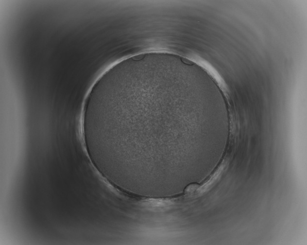 X0000102390910200808081225