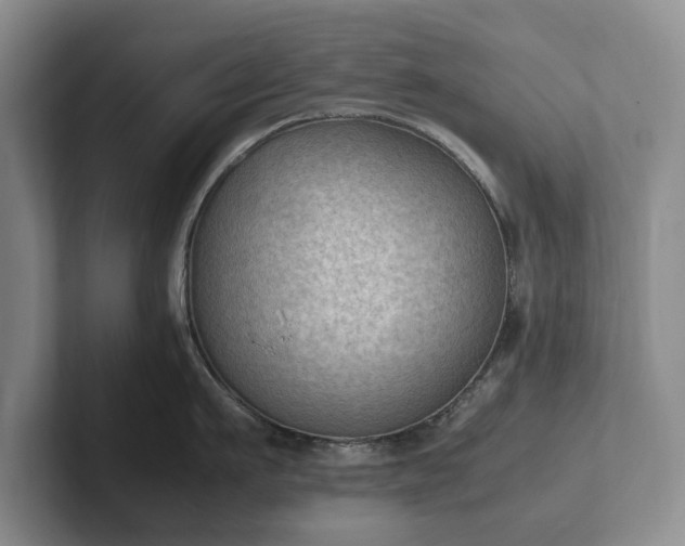 X0000102390911200808081225