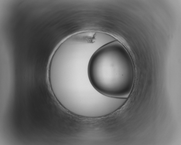 X0000102390912200808081225