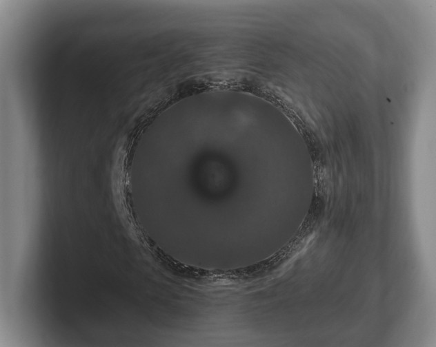 X0000102390913200808081224