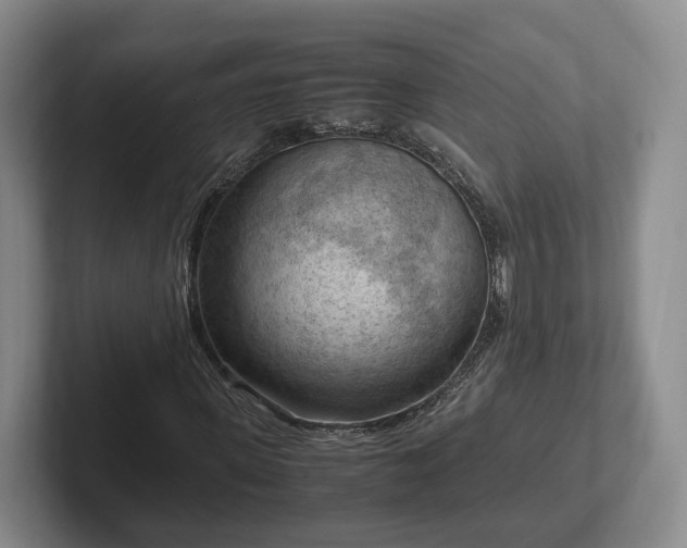 X0000102390915200808081224