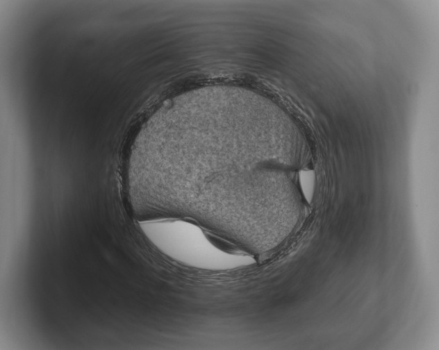 X0000102390916200808081224