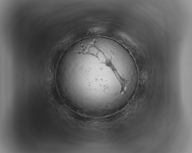 X0000102390917200808081224