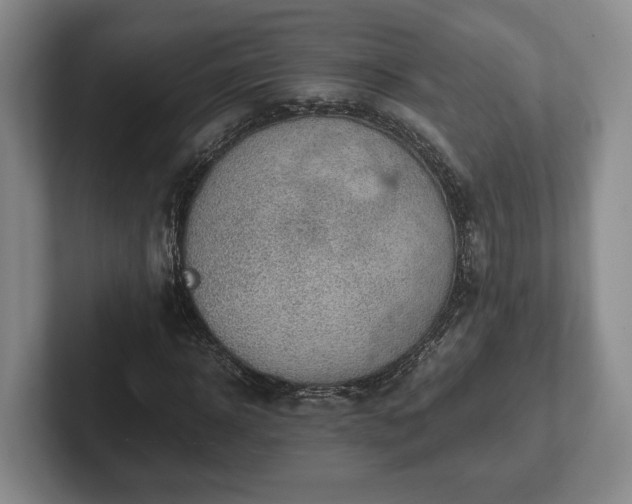 X0000102390918200808081224