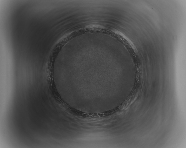 X0000102390919200808081224