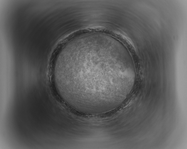 X0000102390920200808081224