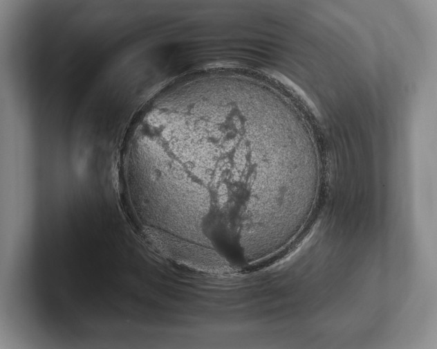 X0000102390921200808081224