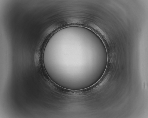 X0000102390922200808081224