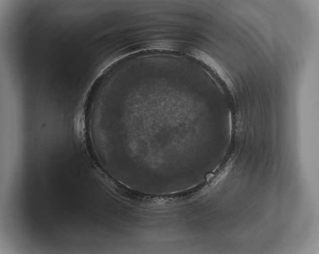 X0000102390923200808081224